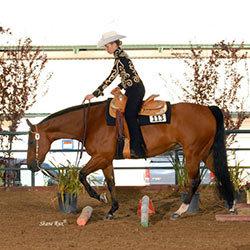 Dal Porto Equestrian Team Horse Show