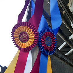 Dal Porto Team Horse Show Ribbons