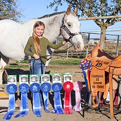 Brooklyn Gold N Grand Horse Show