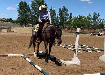 Dal Porto Equestrian Training