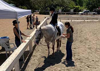 Dal Porto Equestrian Team 7CPHC Show