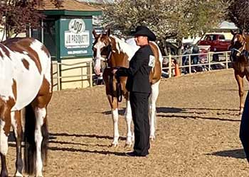 2021 Gold N Grand Rancho Equestrian Show