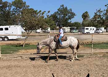 Dal Porto's Saddle Club member riding a horse on May 2022 