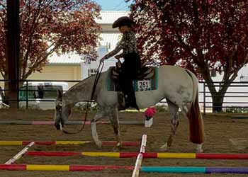 Dal Porto Equestrian team member showing at Gold n Grand Show July 2022 