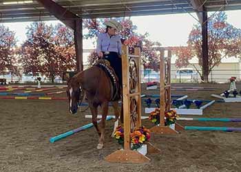 Dal Porto Equestrian team member Christine competing at Gold n Grand Show July 2022 