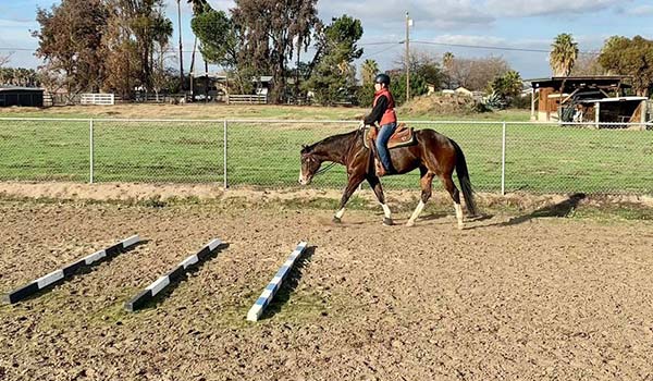 Dal Porto Riding Lessons 2021