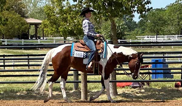 Dal Porto Equestrian team member at EWA Show in April 2023